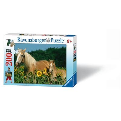 Spiel 6378.0